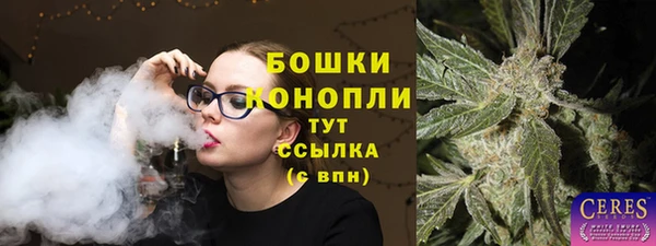 молекула духа Пересвет