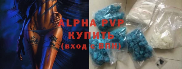 молекула духа Пересвет