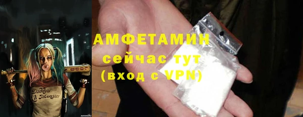 молекула духа Пересвет