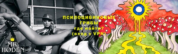 экстази Переславль-Залесский