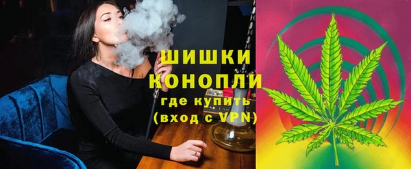 молекула духа Пересвет