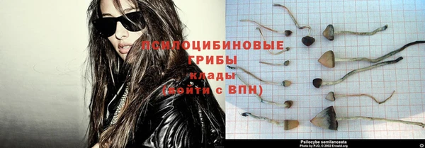 молекула духа Пересвет