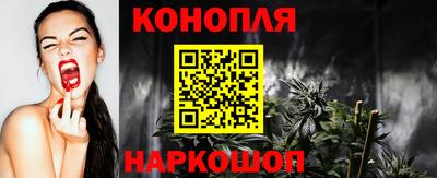 ALPHA PVP Гатчина