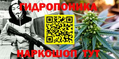apvp Гай