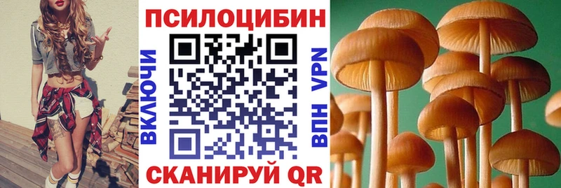 магазин продажи   Азнакаево  Галлюциногенные грибы прущие грибы 