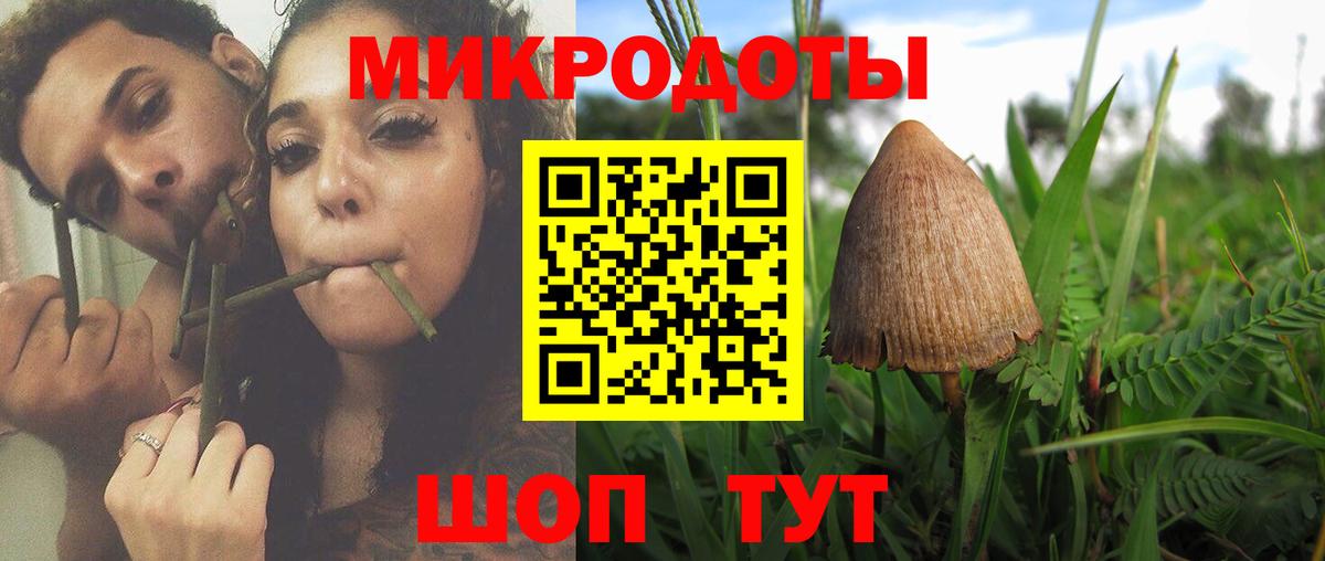Галлюциногенные грибы Cubensis Азнакаево