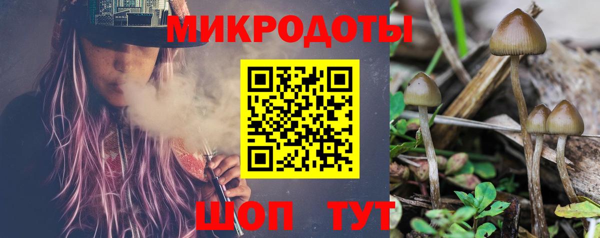 Азнакаево  Псилоцибиновые грибы Psilocybine cubensis  Галлюциногенные грибы MAGIC MUSHROOMS  Вход с VPN 