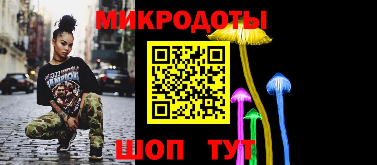 Псилоцибиновые грибы Psilocybine cubensis Азнакаево
